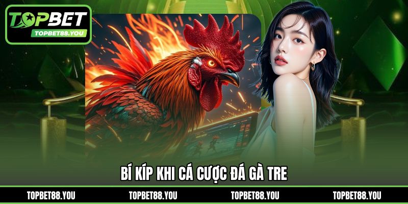 Bí kíp khi cá cược đá gà tre