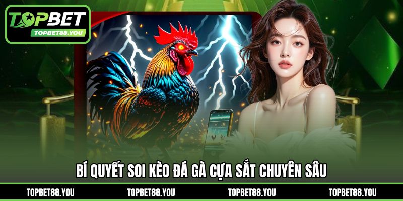 Bí quyết soi kèo đá gà cựa sắt chuyên sâu