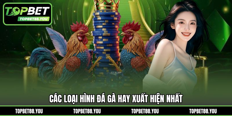 Các loại hình đá gà hay xuất hiện nhất