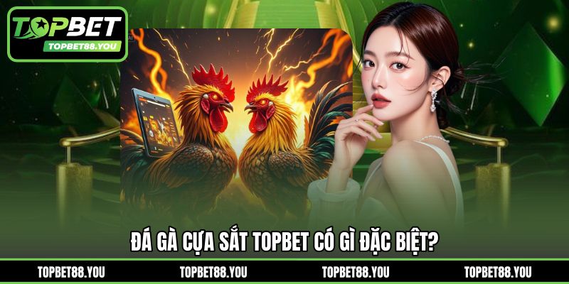 Đá gà cựa sắt TOPBET có gì đặc biệt?
