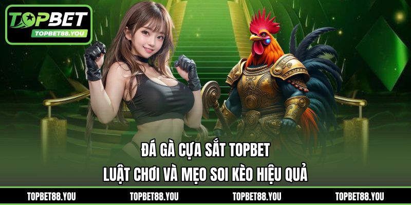 Đá Gà Cựa Sắt TOPBET - Luật Chơi Và Mẹo Soi Kèo Hiệu Quả