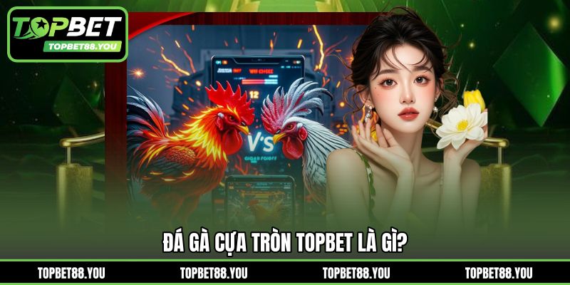 Đá gà cựa tròn TOPBET là gì?