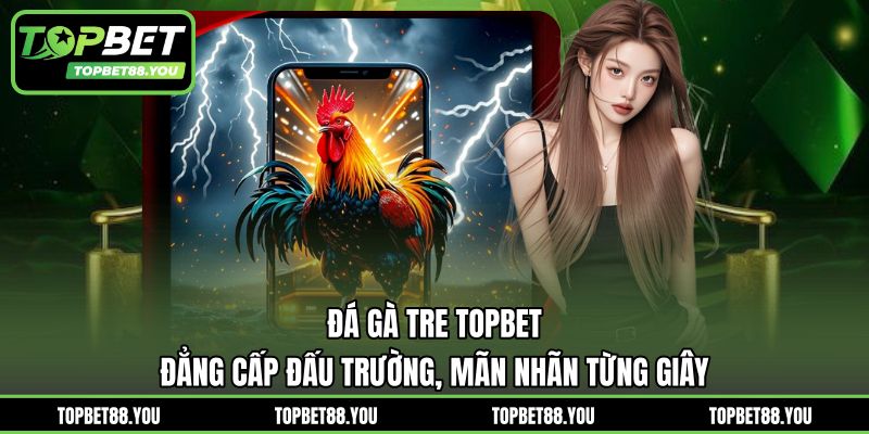 Đá Gà Tre TOPBET - Đẳng Cấp Đấu Trường, Mãn Nhãn Từng Giây