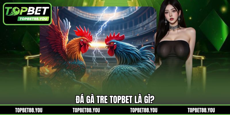 Đá gà tre TOPBET là gì?