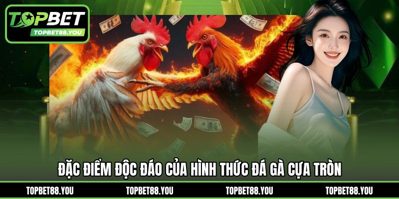 Đặc điểm độc đáo của hình thức đá gà cựa tròn