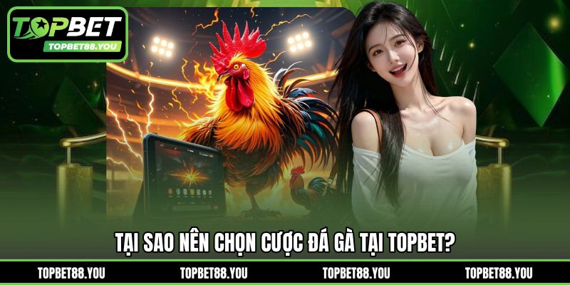 Tại sao nên chọn cược đá gà tại TOPBET?