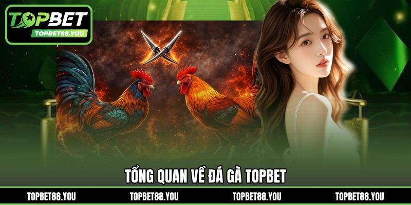 Tổng quan về đá gà TOPBET