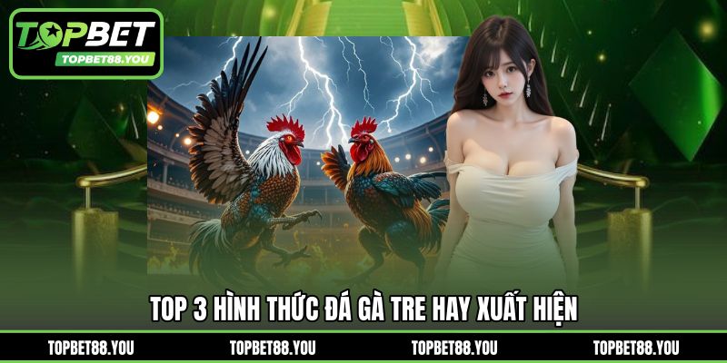 Top 3 hình thức đá gà tre hay xuất hiện